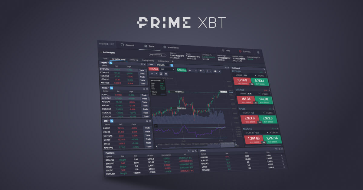 Exploring Team PrimeXBT Leaders in Trading Innovation